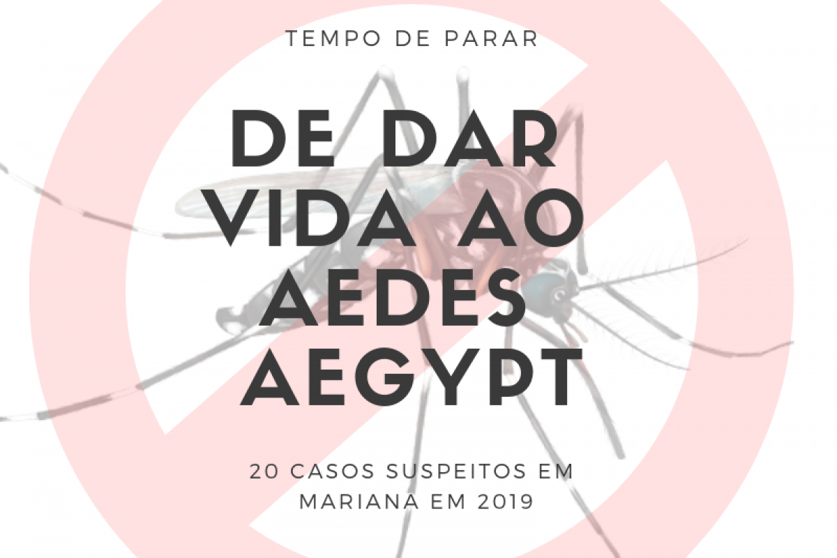 PARE DE DAR VIDA AO AEDES AEGYPT